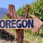 wooden sign on a stick with an arrow and the word oregon written on it